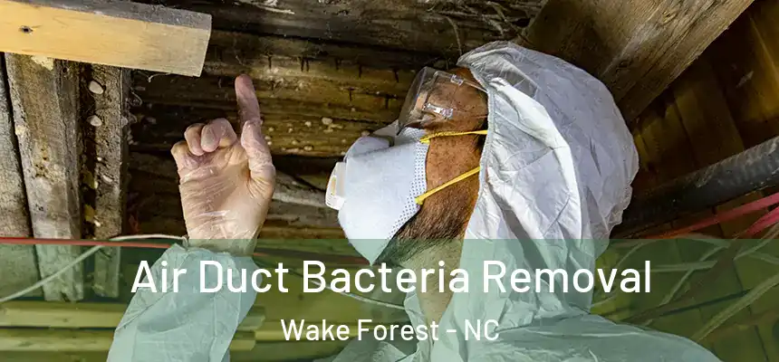  Air Duct Bacteria Removal Wake Forest - NC