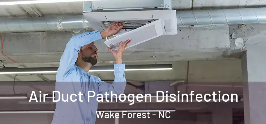 Air Duct Pathogen Disinfection Wake Forest - NC