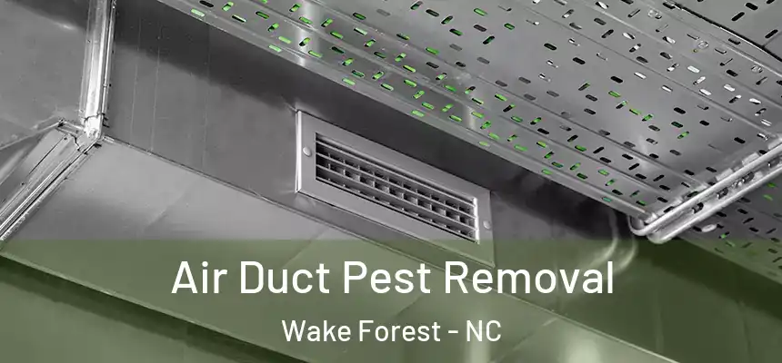  Air Duct Pest Removal Wake Forest - NC