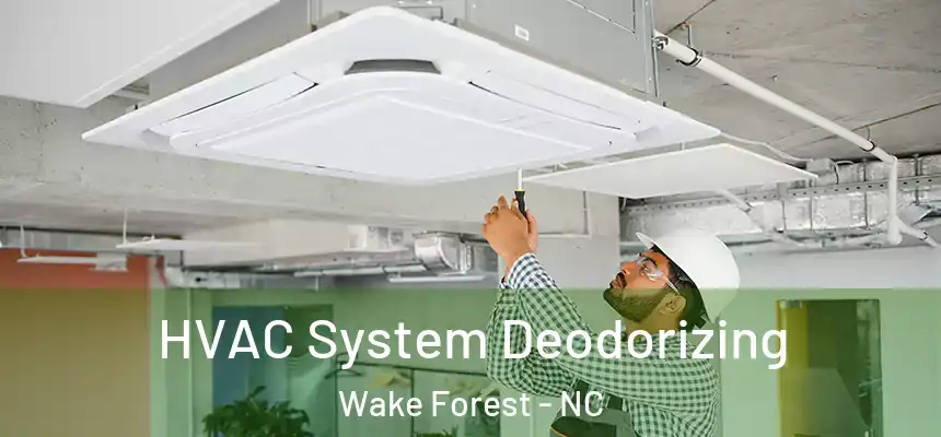 HVAC System Deodorizing Wake Forest - NC