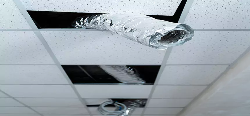 Our Air Duct Pet Hair Removal Services in Wake Forest, NC