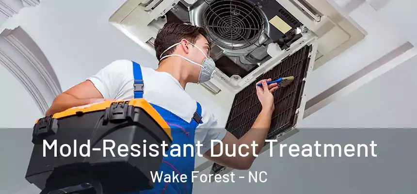 Mold-Resistant Duct Treatment Wake Forest - NC