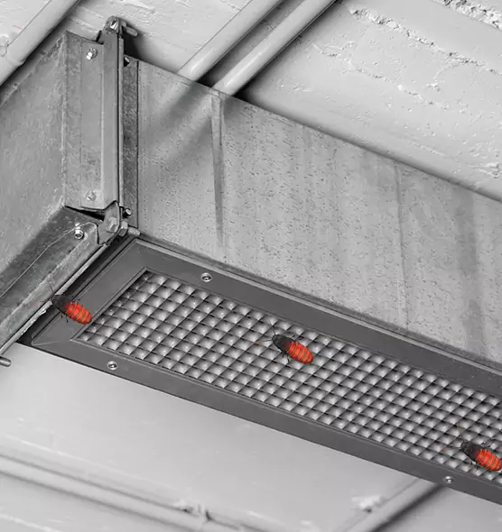 About Air Duct Cockroach Removal in Wake Forest, NC