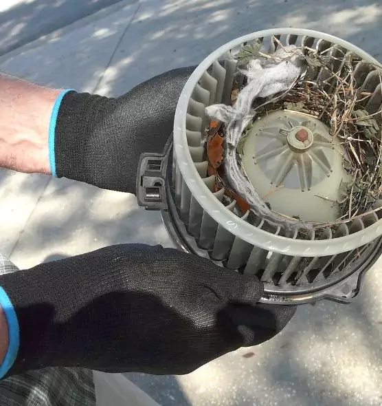 About Air Duct Mice Removal in Wake Forest, NC