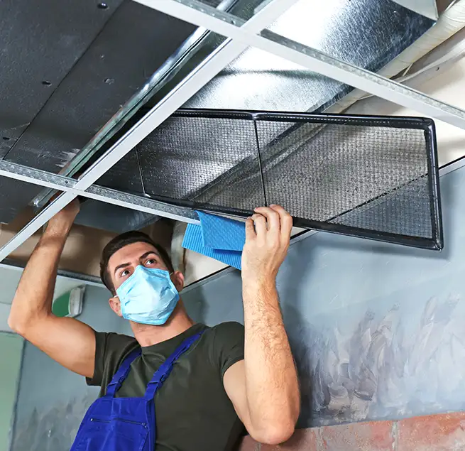 Why Homeowners & Businesses Trust Us in Wake Forest, NC?