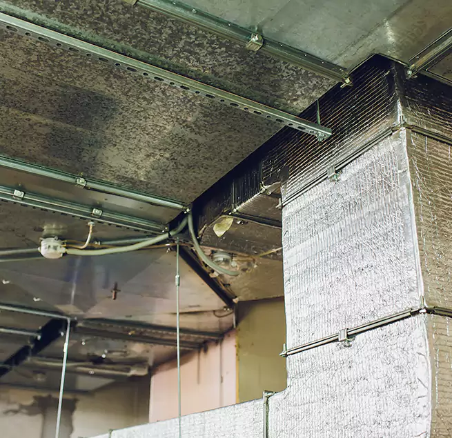 Why Homeowners & Businesses Trust Us in Wake Forest, NC?